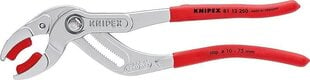 Трубные плоскогубцы Knipex цена и информация | Механические инструменты | kaup24.ee