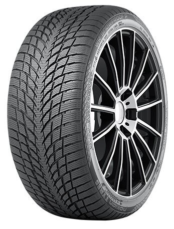 Nokian WR SnowProof P 225/45R19 96 V XL цена и информация | Talverehvid | kaup24.ee