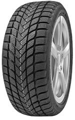 Delinte WD6 205/55R17 95 H цена и информация | Зимняя резина | kaup24.ee