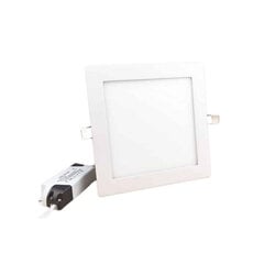 12W LED-lamp / latern, 120°, 170x170mm hind ja info | Seinavalgustid | kaup24.ee