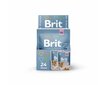 Konserv kassidele Brit Premium Cat Delicate Chicken for Kitten 85g x 24tk hind ja info | Konservid kassidele | kaup24.ee