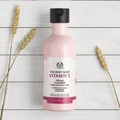 Средство для умывания кремовой консистенции The Body Shop Vitamin E 250 мл цена и информация | Аппараты для ухода за лицом | kaup24.ee