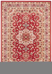 Vaip Nouristan Mirkan Parun Tabriz 80x150 cm, punane hind ja info | Vaibad | kaup24.ee