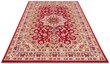 Vaip Nouristan Mirkan Parun Tabriz 120x170 cm, punane hind ja info | Vaibad | kaup24.ee