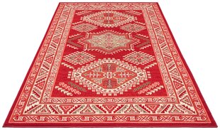 Vaip Nouristan Mirkan Skazar Isfahan 80x150 cm, punane hind ja info | Vaibad | kaup24.ee