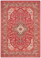 Vaip Nouristan Mirkan Skazar Isfahan 80x150 cm, punane hind ja info | Vaibad | kaup24.ee