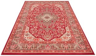 Vaip Nouristan Mirkan Skazar Isfahan 80x150 cm, punane цена и информация | Ковры | kaup24.ee