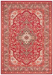 Vaip Nouristan Mirkan Skazar Isfahan 120x170 cm, punane цена и информация | Ковры | kaup24.ee