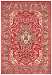 Vaip Nouristan Mirkan Skazar Isfahan 160x230 cm, punane цена и информация | Ковры | kaup24.ee