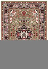 Vaip Nouristan Mirkan Skazar Isfahan 80x150 cm, roheline цена и информация | Ковры | kaup24.ee