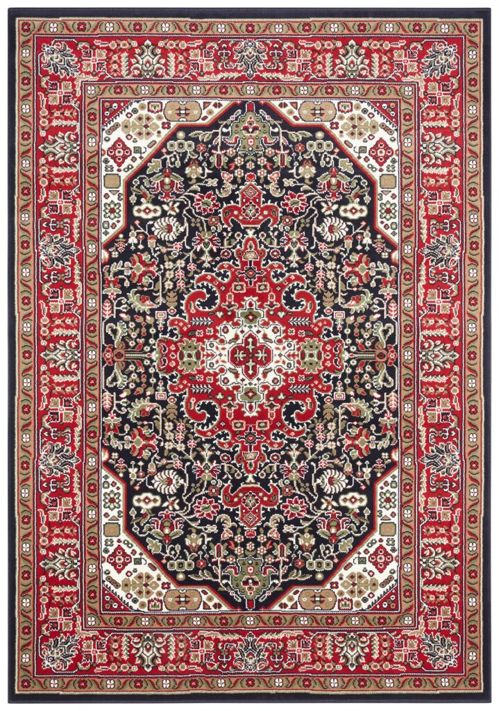 Vaip Nouristan Mirkan Skazar Isfahan 80x150 cm, punane hind ja info | Vaibad | kaup24.ee