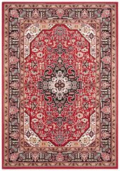 Vaip Nouristan Mirkan Skazar Isfahan 120x170 cm, punane hind ja info | Vaibad | kaup24.ee