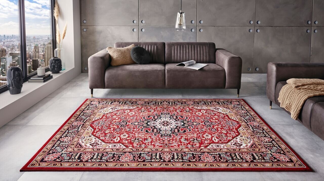 Vaip Nouristan Mirkan Skazar Isfahan 120x170 cm, punane hind ja info | Vaibad | kaup24.ee