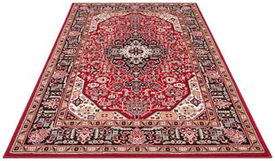 Vaip Nouristan Mirkan Skazar Isfahan 160x230 cm, punane цена и информация | Ковры | kaup24.ee