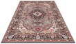 Vaip Nouristan Mirkan Skazar Isfahan 120x170 cm, hall hind ja info | Vaibad | kaup24.ee