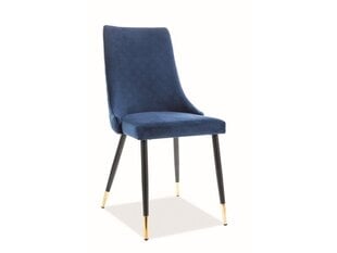 Комплект из 2-х стульев Signal Meble Piano, синий цена и информация | Стулья для кухни и столовой | kaup24.ee