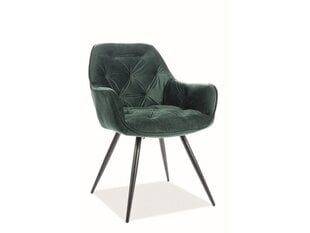 Комплект из 2 стульев Signal Meble Cherry, зеленый цена и информация | Signal Meble Мебель и домашний интерьер | kaup24.ee