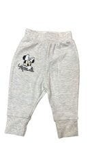 Beebipüksid Disney Baby, hall hind ja info | Beebipüksid | kaup24.ee