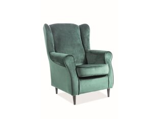 Кресло Signal Meble Baron, зеленое цена и информация | Кресла | kaup24.ee