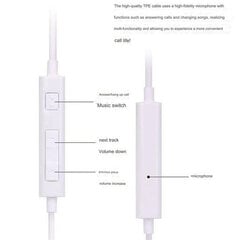 Typec-liides Samsung A8S/A80/A9S originaalse peakomplekti jaoks hind ja info | Kõrvaklapid | kaup24.ee