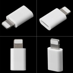 Usb C Female To For Lightning Isane Adapter telefoniseeria jaoks Vastupidav hind ja info | USB jagajad, adapterid | kaup24.ee