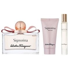 Komplekt Salvatore Ferragamo Signorina naistele: parfüümvesi EDP 100 ml + parfüümvesi EDP 10 ml + ihupiim 50 ml цена и информация | Женские духи | kaup24.ee