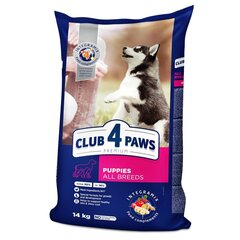 Полноценный сухой корм для щенков с курицей Puppies, CLUB 4 PAWS Premium, 14 кг цена и информация | Сухой корм для собак | kaup24.ee