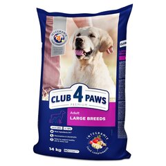 Club 4 Paws Premium kuivtoit suurt kasvu koertele цена и информация | Сухой корм для собак | kaup24.ee