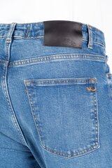 Джинсы Ltb Jeans 1009515011512054328-31/32 цена и информация | Мужские джинсы | kaup24.ee