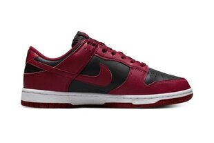 Naiste kingad Nike Dunk Low Nest Nature tossud DN1431 002 hind ja info | Naiste kingad | kaup24.ee