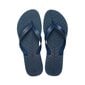 Meeste Cubanas Azul flip flops tumesinine NATURE01MBLUE hind ja info | Meeste plätud, sussid | kaup24.ee