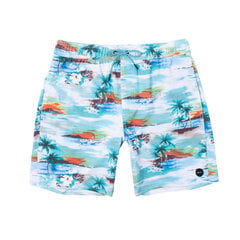 RVCA VA Pigment Elastic Waist Boardshorts 17 meeste rannasortsid AVYBS00204 цена и информация | Плавки, плавательные шорты | kaup24.ee