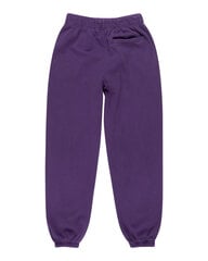 Naiste Element Cornell 3.0 joggers dressipüksid ELJNP00107 GRAPE цена и информация | Женские брюки | kaup24.ee