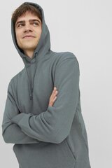 Спортивный свитер Jack &amp; Jones 12208157SEDONASAGE-L цена и информация | Мужские свитера | kaup24.ee