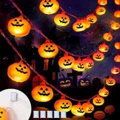 Halloweeni kõrvitsa dekoratiivne Halloweeni kõrvitsa nöör 5 m 40 LED-i USB-toitega kõrvitsa valgusti sobib Halloweeni peoks pereaia jaoks hind ja info | Peokaunistused | kaup24.ee