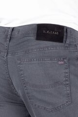 Teksapüksid Blk Jeans 7898261305253-31/34 hind ja info | Meeste teksad | kaup24.ee