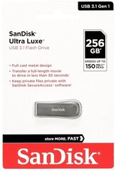 Sandisk mälupulk Cruzer Ultra Luxe 256GB USB 3.1 SDCZ74-256G-G46 цена и информация | Карты памяти | kaup24.ee