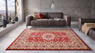 Vaip Nouristan Mirkan Parun Tabriz 200x290 cm, punane цена и информация | Ковры | kaup24.ee