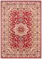 Vaip Nouristan Mirkan Parun Tabriz 200x290 cm, punane hind ja info | Vaibad | kaup24.ee