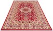 Vaip Nouristan Mirkan Parun Tabriz 200x290 cm, punane hind ja info | Vaibad | kaup24.ee