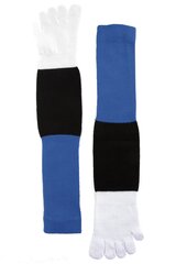 Мужские носки с пальцами в цветах флага Эстонии ESTONIA цена и информация | Meeste sokid | kaup24.ee