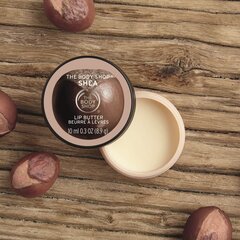 Бальзам для губ The Body Shop Shea 10 мл цена и информация | Помады, бальзамы, блеск для губ | kaup24.ee