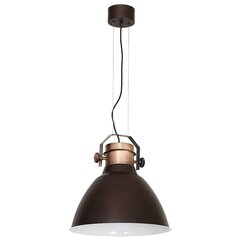 Luminex подвесной светильник Edgar цена и информация | Люстры | kaup24.ee