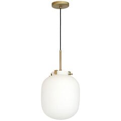 Luminex подвесной светильник Baco цена и информация | Потолочный светильник, 38 x 38 x 24 см | kaup24.ee