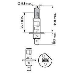 Pirnid Philips White Vision Intense white xenon effect H1, 2 tk + 2 tk x W5W hind ja info | Autopirnid | kaup24.ee