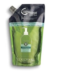 Шампунь для волос L'Occitane Purifying Freshness 500 мл цена и информация | L'Occitane Духи, косметика | kaup24.ee