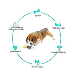 Koerte mänguasi Lemmikloomade hambahari Kaisu koerahari Halb hingeõhk hambakivi hambatööriist Purihambad näriv Toysa hind ja info | Pehmed mänguasjad | kaup24.ee