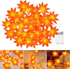 Maple Leaves Fairy Lights, 3M 20LED sügisvalgustid, mis töötavad taimeriga, Fall Leaf Garland Light hind ja info | Pehmed mänguasjad | kaup24.ee