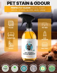 Nanoteqa средство для удаления запахов и пятен домашних животных Pet Stain & Odour remover, 500 мл цена и информация | Очистители | kaup24.ee