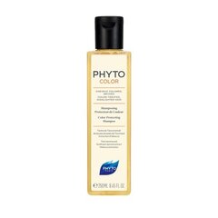 Šampoon värvitud, triibutatud juustele, Phyto Color 250 ml цена и информация | Шампуни | kaup24.ee